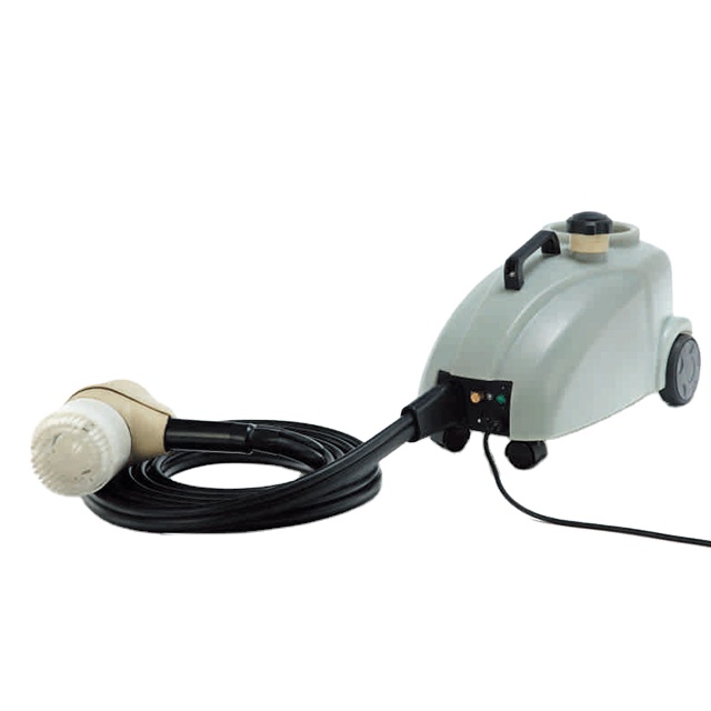 Detergente per tappeti elettri - Seat Cleaner Fabric recensione e prezzo